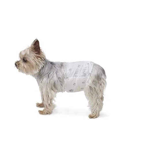 Amazon Basics Pañales desechables para perros macho, XS, paquete de 30, color blanco