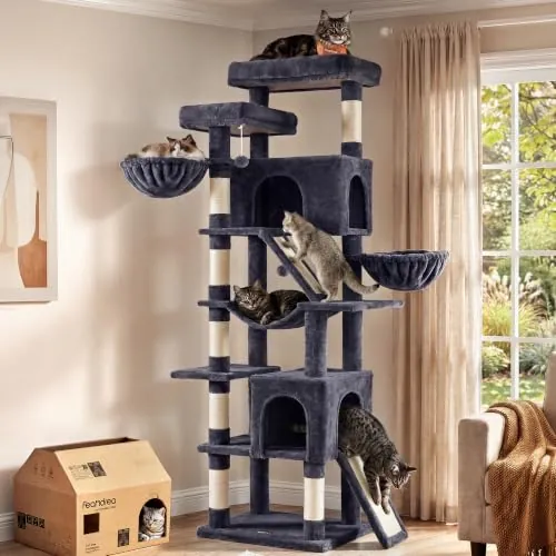 Feandrea Árbol para Gatos XXL, 7 Áreas de Descanso, 55 x 45 x 205 cm