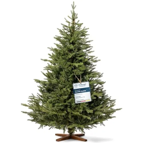 FAIRYTREES Árbol de Navidad 220 cm Nordmann Exlusivo 100% PE | Elementos Naturales Moldeados por inyección | Hecho en la UE | Árbol de Navidad con Soporte de Madera de Fresno Hecho a Mano