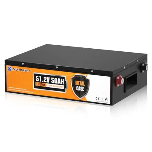 ECO-WORTHY Batería LiFePO4 48V 50Ah con Protección BMS 3000-15000 Cycles, Batería de Litio de Ciclo Profundo para Sistema Solar, Hogar, Kit de Panel Solar, Camping