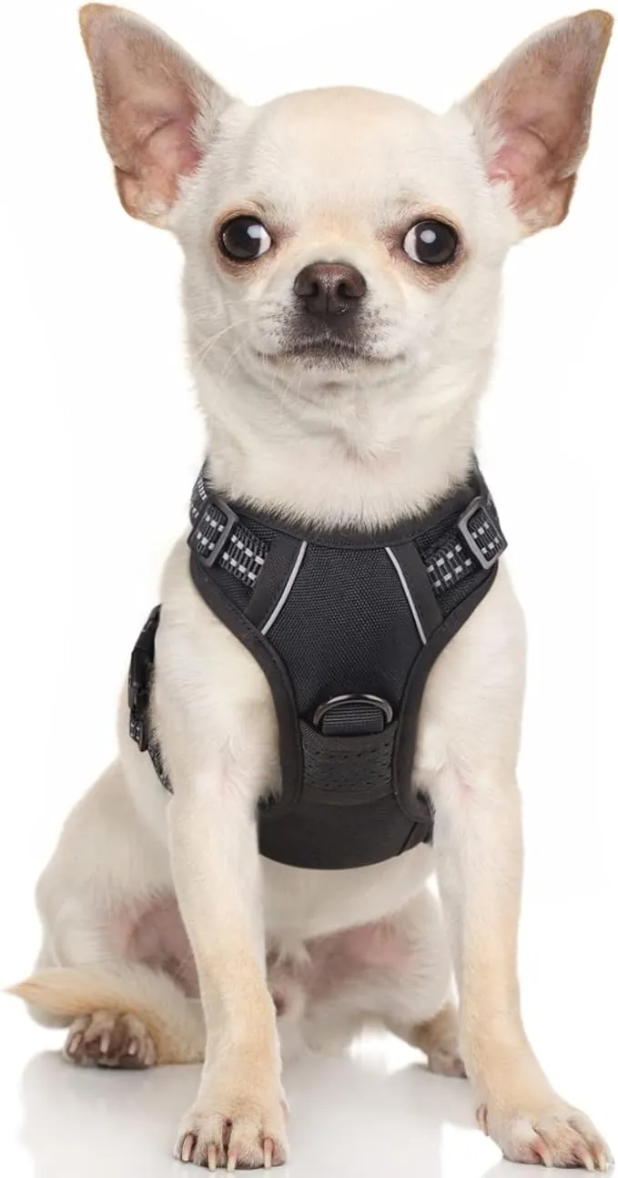 rabbitgoo Arnes Perro Pequeño, Arnes Perro Antitirones Coche con Lineas Reflecantes, Chaleco Gato Acolchado Ajustable Transpirable con Asa y Anillos para Adiesreamiento Correr Tamaño XS Negro