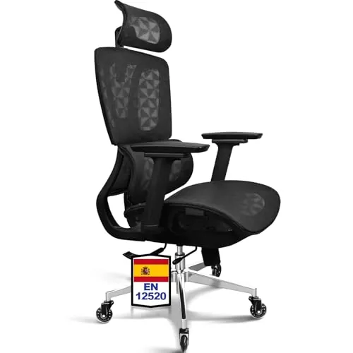 MELOKEA Silla de Oficina Ergonómica, Silla Escritorio, Malla Transpirable