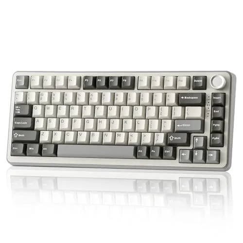 YUNZII B75 Pro Teclado Mecánico Inalámbrico,75% Teclado para Juegos Hot Swap Hot Swap Custom Teclado con Knob,Pre-lubed Switches RGB,BT/Tipo-C/2.4G Teclado (Gray, Milk Switch)