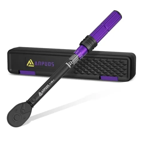 ANPUDS 3/8" Llave Dinamométrica 5-60 Nm, Llave de Torque, Precisión ± 3%
