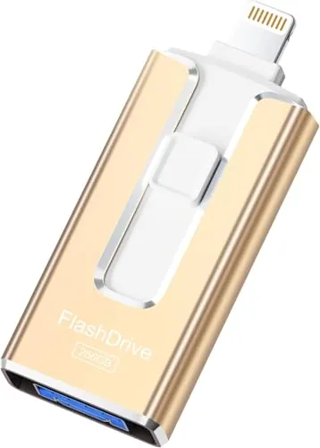 SUDEHO Pendrive Certificado MFi 256GB para iPhone, 4 en 1 USB 3.0, Dorado