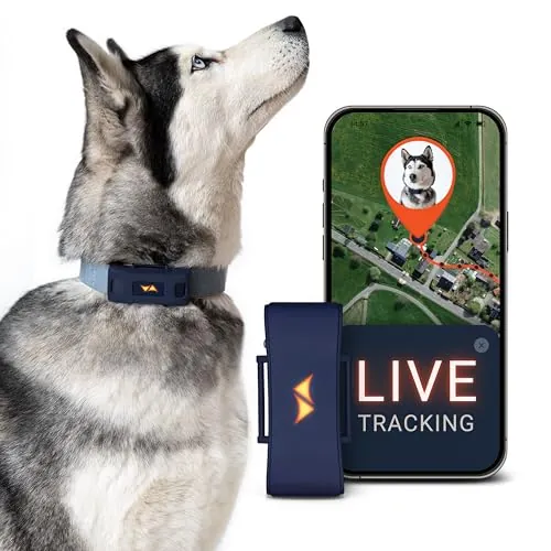 PAJ Localizador GPS Perros 4G - Incl. 3 Meses de Suscripción Premium, Azul
