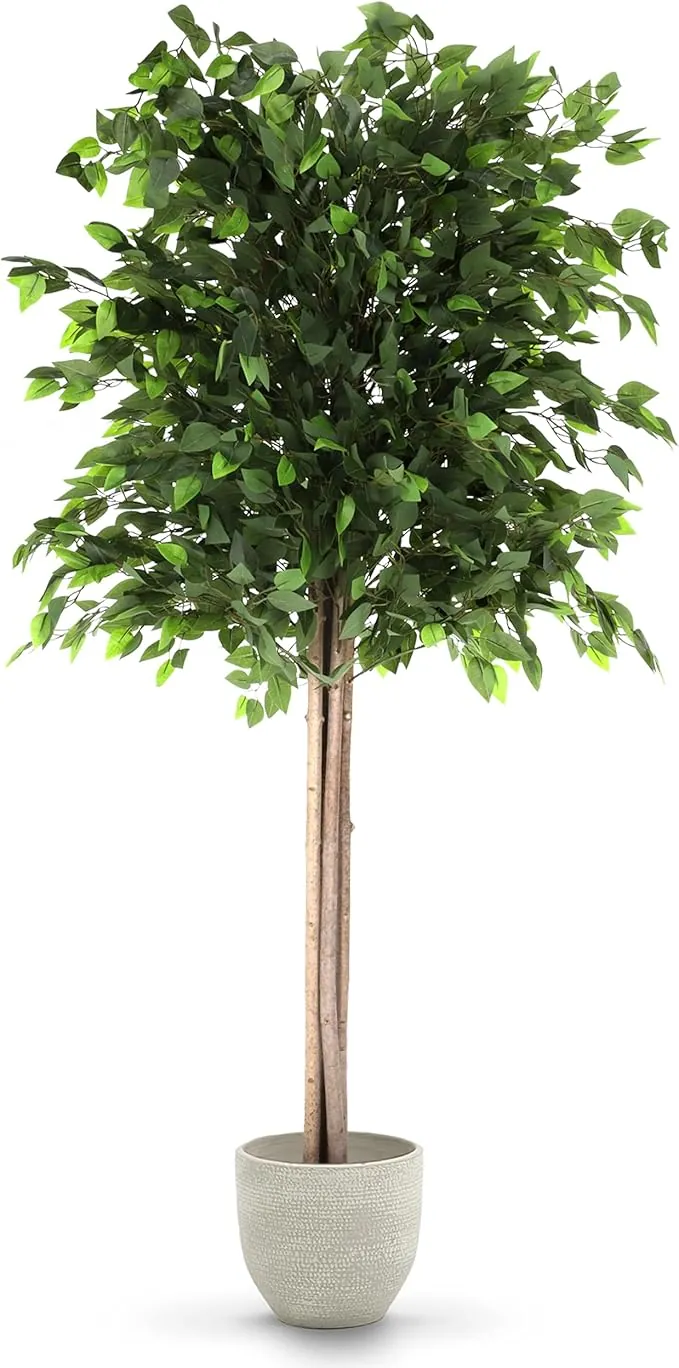 MAIA SHOP Ficus Artificial 185 cm – Árbol Decorativo Realista con Tronco Natural, Planta Artificial Grande para Decoración de Hogar, Oficina, Hoteles y Proyectos de Interiorismo