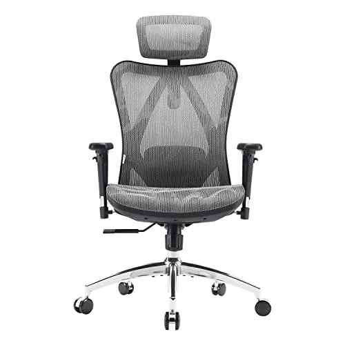 SIHOO Silla de Oficina Ergonómica, Silla de Escritorio, Respaldo Alto, Transpirable, Silla de Malla, con Reposabrazos 3D y Soporte Lumbar Ajustables(Gris)