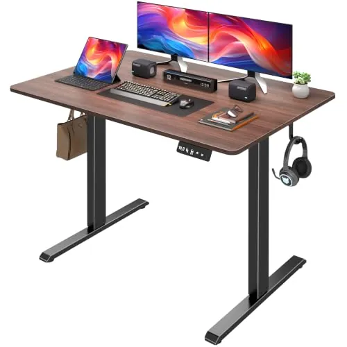 Raplink Escritorio Elevable Eléctrico, Mesa de Trabajo Ajustable en Altura, Mesa de Oficina en Casa con Tablero Ensamblado, 120 x 60 cm, para Trabajo, Redacción, Juegos