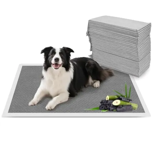 Nobleza Empapadores Perros 90x60cm (100 Unid), Carbón Activado para Control de Olores, Absorbe al Instante ¡Secado Rápido! Almohadillas de Antiderrames de Perros y Cachorros
