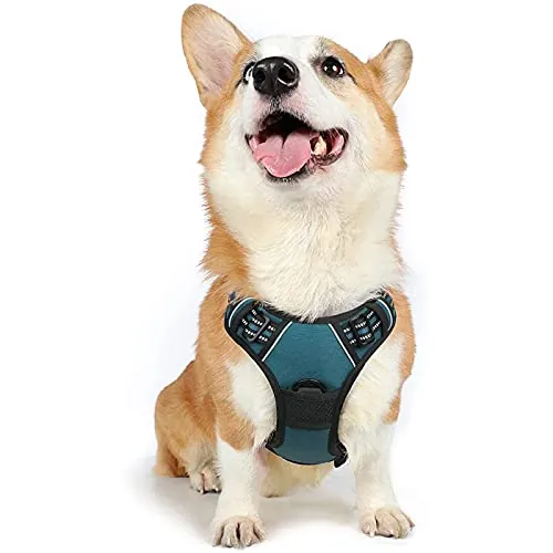 rabbitgoo Arnes Perros Grande Mediano Pequeño Arnés Pecho Antitirones Perros Coche con Lineas Reflectantes Cómodo Transpirable Chaleco Acolchado Ajustable para Adiesreamiento Tamaño M Verde Oscuro