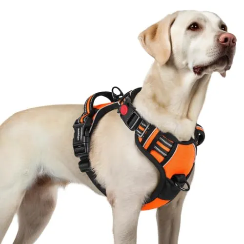 rabbitgoo Arnes Perro Mediano con 3 Hebillas, Liberacion del Cuello, Arnes Perro Ajustable con Asa y Clip Frontal, Arnés Antitirones para Perros Reflectante para Adiestramiento Correr, Naranja, L