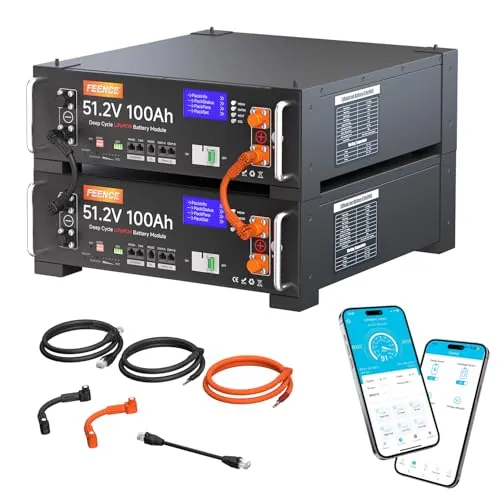 Pack de 2 baterías de 48V 100Ah LiFePO4 de litio, 10,24KWh 48V batería de litio para gabinete de servidor solar, con BMS Bluetooth de 100A para sistema solar completo, instalación fotovoltaica