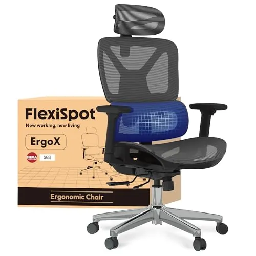 FLEXISPOT ErgoX Silla Escritorio con Soporte Lumbar, Respaldo 5D, Reposabrazos 3D, Silla Gaming con Cojín Transpirable, Inclinación 135°, Silla Ergonomica Escritorio, Gris