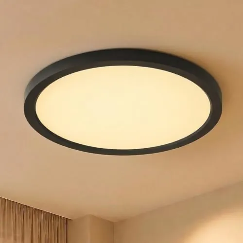 LQWELL Lámpara de techo LED Ultra Delgada Negro 30cm 23W 3000K