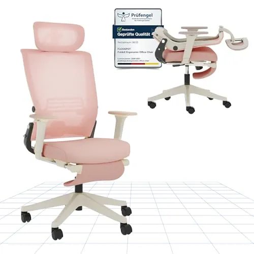 FLEXISPOT FOLDEX Silla de Oficina Ergonómica, Silla de Oficina Plegable con Apoyo Lumbar, Reposabrazos Regulables en Altura, Reposacabezas 2D, Silla de Escritorio de Malla para Oficina Casa-Kirsch