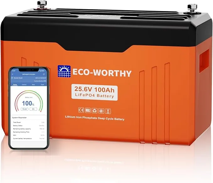 ECO-WORTHY Bateria Lifepo4 Bluetooth y WiFi (100 Ah, 24 V, con SOC y indicador de Estado, 100 A BMS con protección de Baja Temperatura, máx. 15000 ciclos, Ideal para Autocaravana, Panel Solar