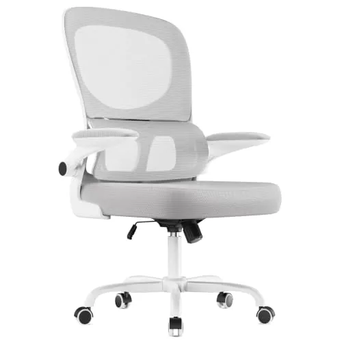 naspaluro Silla de Oficina Ergonómica con Soporte Lumbar, 110kg | Silla Ergonomica Escritorio con y Altura Ajustables, Reposabrazos Abatible, Gris