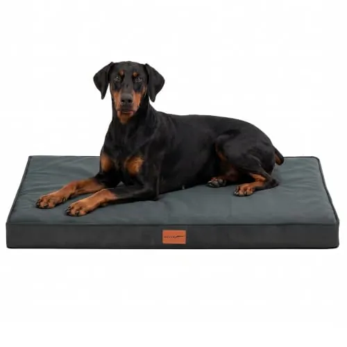 WAVVE Cama Perro Grande Ortopédica 120x81x10 cm Gris | Dog Bed desenfundable y lavable, con forro impermeable, espuma de caja de huevos, soporte cómodo y base antideslizante