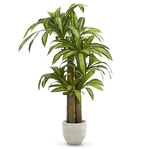 Maia Shop Drácena Artificial 150 cm - Planta Realista de Interior