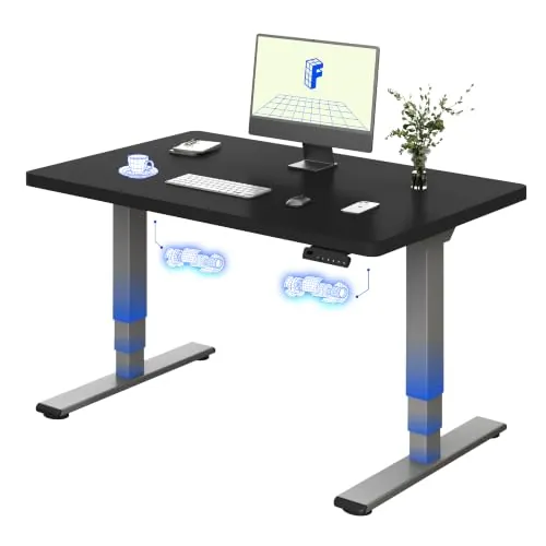 FLEXISPOT Escritorio Elevable Eléctrico 120x80, Doble Motor, Tablero Entero