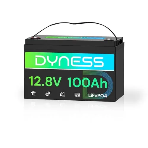 Dyness Batería de litio 12V 100Ah LiFePO4 con BMS de 100 A, Máx 15000 Ciclos, Batería Solar de litio de Ciclo Profundo para Caravanas, Camping, Sistemas Solares Domésti