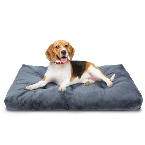 Nobleza Cama para Perros Medianos, Suave y Esponjosa, Antideslizante, Lavable en Gris Oscuro, 80x50cm