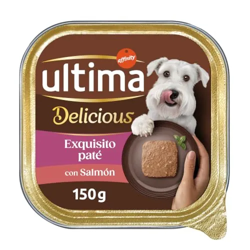 Ultima Fit & Delicious para Perros Mini paté en tarrina Sabor Salmón - Caja 22x150g