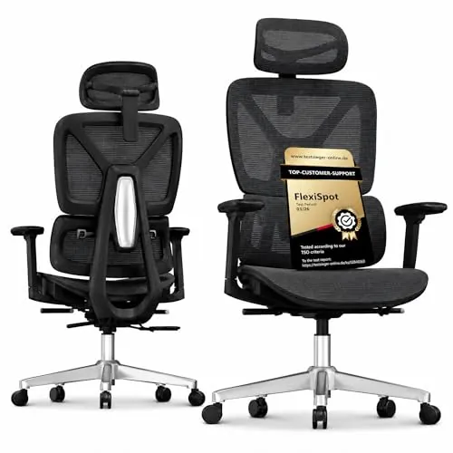 FLEXISPOT ErgoX Lite Silla de Oficina Ergonómica, Gris