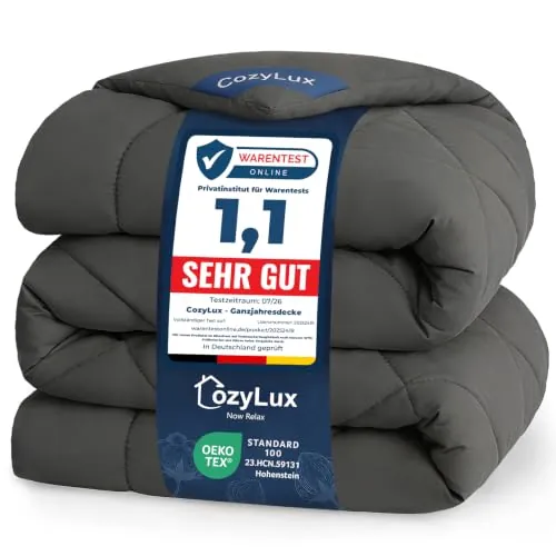 CozyLux Edredón 220x240 cm Gris, Edredon Cama 135/150