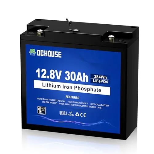DCHOUSE Batería Mini Litio 12V 30Ah con Conector DC y Protección BMS 30A