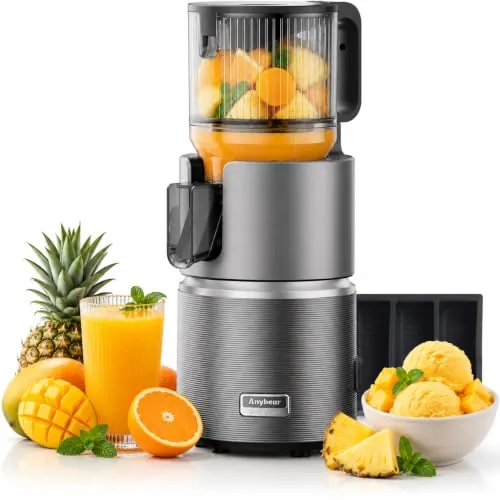 Anybear 124mm Extractor Zumos | 350W Exprimidor Doble Lento | Alto Rendimiento | Tritan Sin BPA | Recetas (Gris Oscuro)