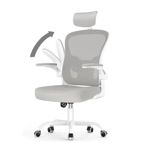 naspaluro Silla de Oficina Ergonómica, Silla de Escritorio con Soporte Lumbar, Reposacabezas Ajustable, Reposabrazos Abatibles, Silla Giratoria con Respaldo Transpirable, Gris