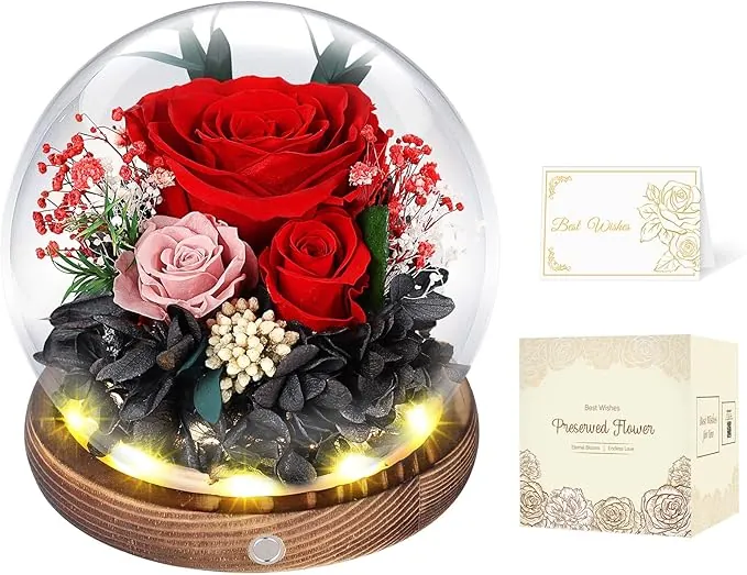 Rosa Eterna en Cúpula de Cristal con LED, Rosa Preservada por 5 Años, Flores Preservadas, Regalo para Mujer, Mamá, Novia o Esposa, Día de la Madre, San Valentín, Cumpleaños y Aniversario (Roja)