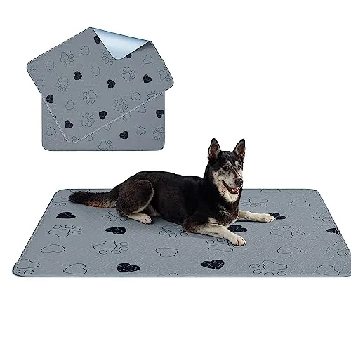 Feandrea Empapador Alfombra Lavable para Perros, 1 Pieza, 152 x 122 cm