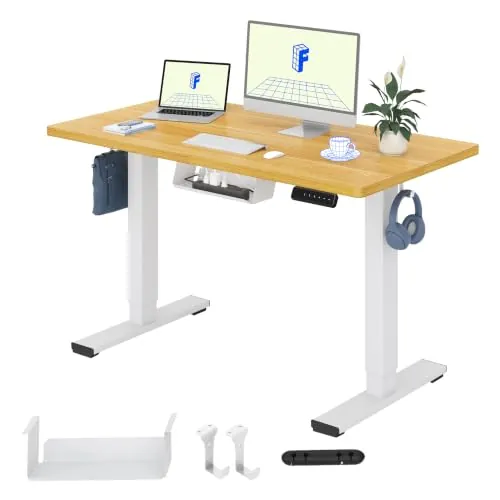 FLEXISPOT QE1 MAX 120x60cm Escritorio Elevable Eléctrico con Tablero Entero Mesa de Elevable, Standing Desk, Mesa Elevable Escritorio con 2 Ganchos y 4 Funciones de Memoria