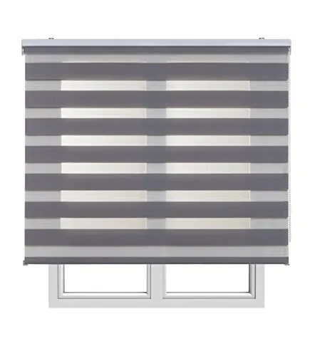 Estores Enrollables Noche y Día Elegantes con Tejido de Doble Caída para Puertas y Ventanas, Estor Noche y Dia de Fácil Instalación con Filtrado de Luz Ajustable STORESBASIC Gris 180x250
