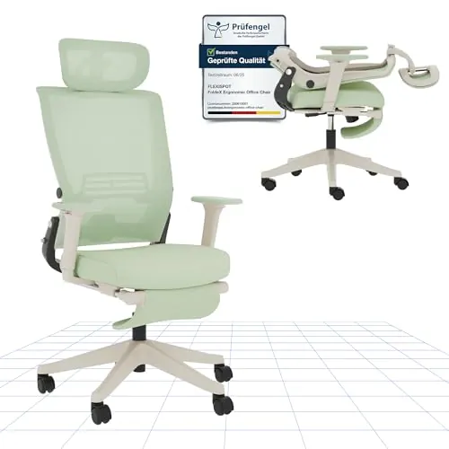 FLEXISPOT Silla de Oficina Ergonómica, Silla de Oficina Plegable con Apoyo Lumbar, Reposabrazos Regulables en Altura, Reposacabezas 2D, Silla de Escritorio de Malla para Oficina Casa-Ivy