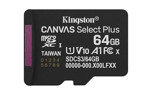 Kingston Canvas Select Plus Tarjeta de Memoria microSD 64GB micSDXC Gen3 100R A1 Adaptador de SD no Incluido - SDCS3/64GBSP