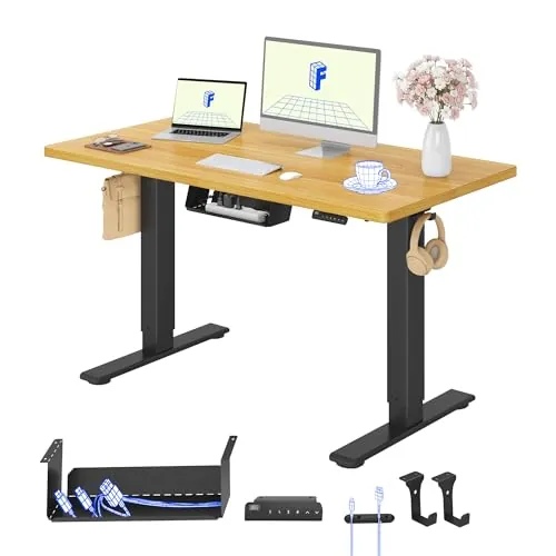 FLEXISPOT E1 Pro Escritorio Elevable Eléctrico 120x80cm con Tablero Entero
