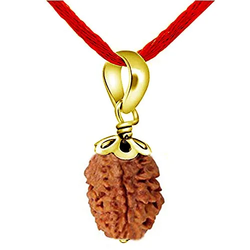Gemsonclick Genuino 3 Caras Tres Mukhi nepalí Rudraksh Cuenta Panch Dhatu Colgante astrológico Rudraksh meditación medallón joyería
