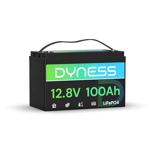 Dyness Batería de litio 12V 100Ah LiFePO4 con BMS de 100 A, Desconexión a Baja Temperatura, Máx 15000 Ciclos, Batería Solar de litio de ciclo profundo para Caravanas, Camping, Sistemas Solares Domésti
