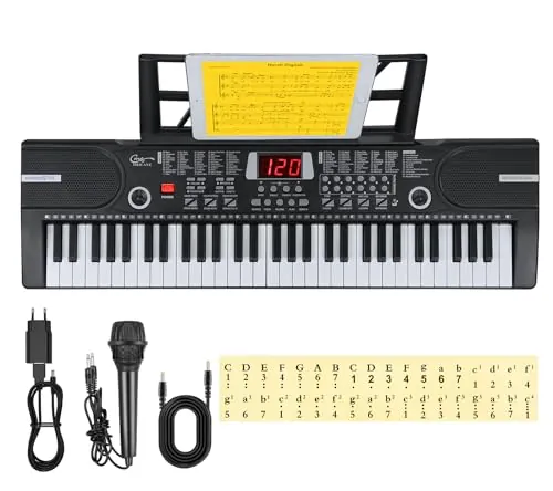 Hricane Teclado electrónico de 61 teclas para niños, el instrumento de piano electrónico portátil para principiantes con micrófono, atril, pegatina (negro)