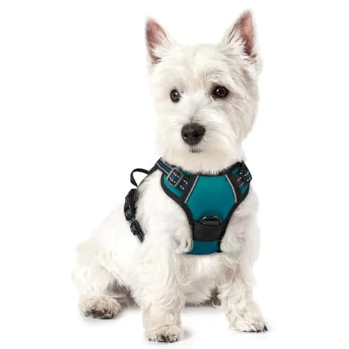 rabbitgoo Arnes Perro Pequeño, Arnes Perro Antitirones Coche con Lineas Reflecantes, Chaleco Gato Acolchado Ajustable Transpirable con Asa y Anillos para Adiesreamiento Correr Tamaño XS Verde Oscuro