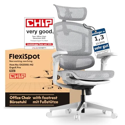 FLEXISPOT ErgoX Pro Silla de Oficina Ergonómica con Reposapiés, Ajuste Altura 12 Niveles, Reposabrazos 7D, Soporte Lumbar 5D, Reposacabezas 4D, Carga 250 kg, Asiento Malla Transpirable, Gris