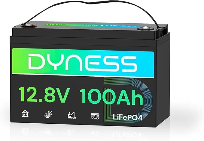 Dyness Batería de litio 12V 100Ah LiFePO4 con BMS de 100 A, Máx 15000 Ciclos, Batería Solar de litio de Ciclo Profundo para Caravanas, Camping, Sistemas Solares Domésti