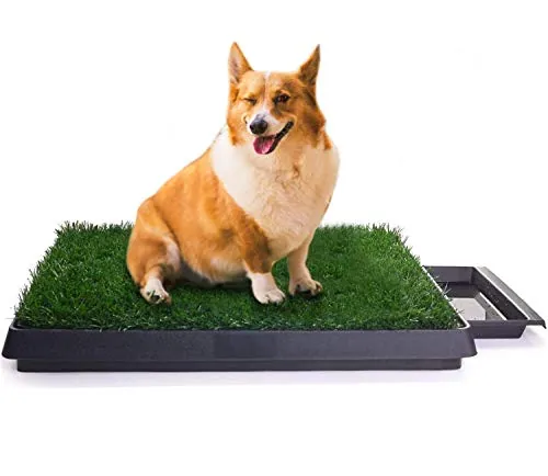 Sailnovo Inodoro para Perros de 63 x 50 cm, Inodoro para Cachorros, Almohadilla de Entrenamiento para Perros pequeños, Grandes y Mayores - Inodoro para Mascotas