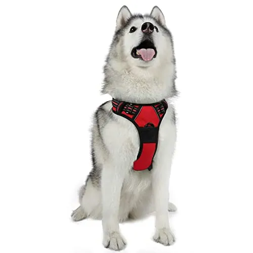 rabbitgoo Arnes Perro Grande, Arnes Perro Antitirones Coche con Lineas Reflecantes, Chaleco Acolchado Ajustable Transpirable con Asa y Anillos para Adiesreamiento Correr Tamaño XL Color Rojo