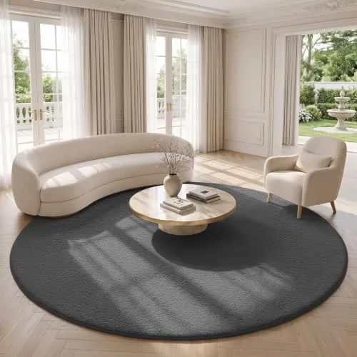 Homaxy Moderna alfombra para salón, 160 x 160 cm, redonda, mullida, suave, lavable, antideslizante, parte inferior de pelo corto, alfombra para pasillo, habitación infantil, dormitorio, gris oscuro