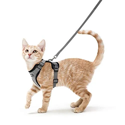 rabbitgoo Arnes para Gatos Antiescape con Correa 150cm, Arnes Gato Ajustable Reflectante, Chaleco de Tela de Malla Suave y Transpirable, Arnés Gato Pequeño para Caminar Entrenar, XS, Gris